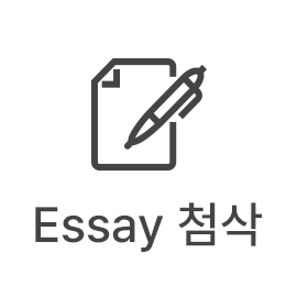 Essay 첨삭